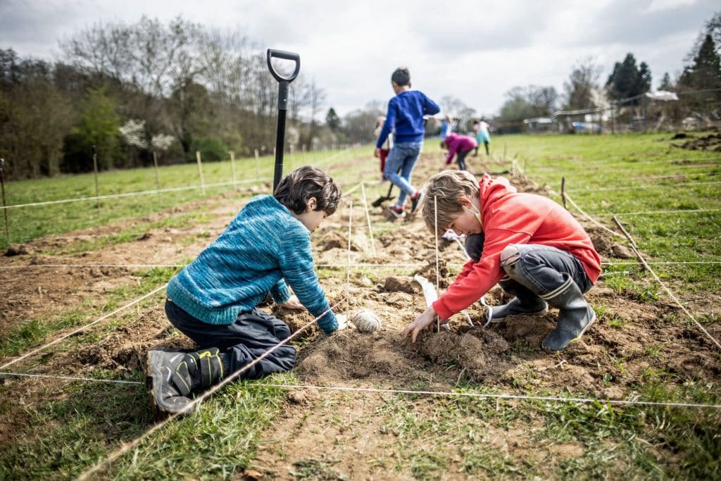 Zwei Kinder knien auf dem Campus Klarenthal auf dem Boden und arbeiten gemeinsam daran, etwas in einem Garten zu pflanzen. Andere Kinder und Erwachsene sind an einem bewölkten Tag im Hintergrund ebenfalls mit Gartenarbeit beschäftigt. Eine Schaufel steht aufrecht daneben.